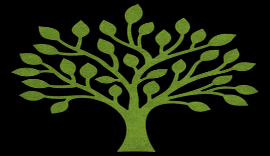 Une « Charte de l’arbre »