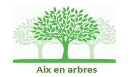 Tout ce que voulez savoir sur les arbres 