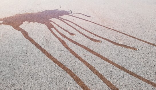 Test de la bouteille d’eau sur les parkings de la plaine Nature