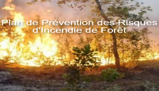 Contribution du CIQ Cézanne-Torse au Plan de Prévention des Risques d’Incendie de Forêt