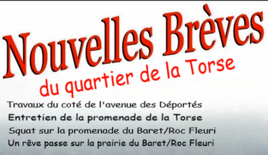Quelques brèves d’été