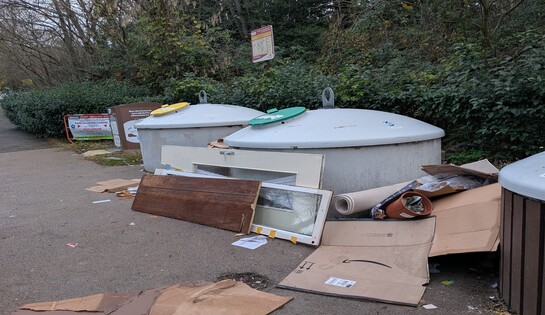 Balade de reconnaissance à travers les espaces verts du quartier