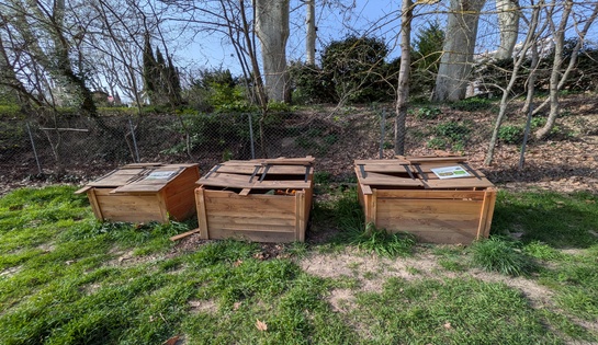 Diverses actualités concernant la promenade  de  la Torse et une étude écologique de la ripisylve de la Torse