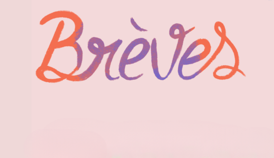 Quelques brèves du quartier de la Torse