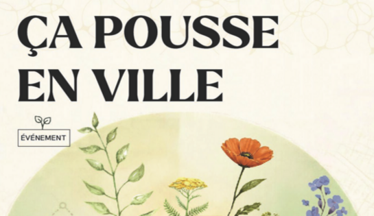 Silence ça pousse, Samedi 24 octobre, une flânerie dans le PNU