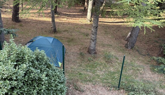 Expulsion d&rsquo;occupants de tentes ou de campements sur la voie publique